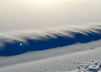 Winter landscape