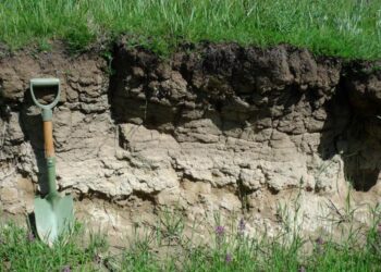 A soil riches in both organic carbon and inorganic carbon in the Qilian Mountains.