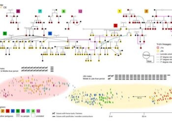 Interconnected Pedigrees