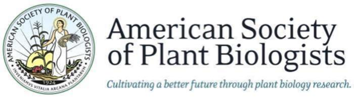 American Society of Plant Biologists Names 2024 Award Recipients