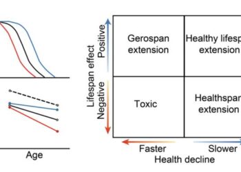 The coupling between healthspan and lifespan in Caenorhabditis depends on…