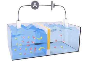 This salt battery harvests osmotic energy where the river meets the sea