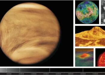 Views of Venus