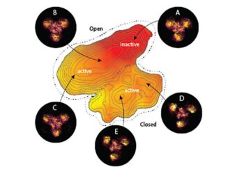 Tracking a Protein’s Fleeting Shape Changes