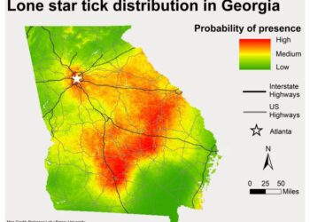 Distribution of lone star ticks in the state of Georgia