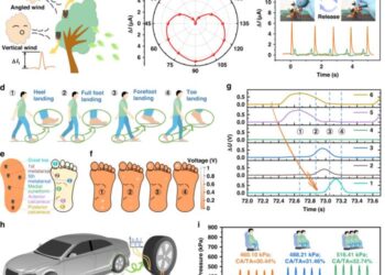 Practical applications of the proposed sensor.