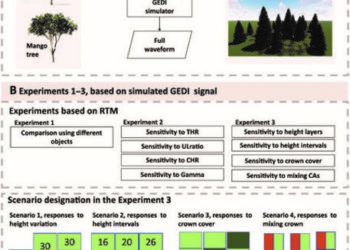 Schematic representation of the workflow and the structuring of the 4 experiments conducted in this study.