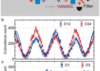 Figure | Experimental schematics and result of the frequency-domain entanglement.