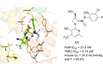 Novel Polθ Inhibitors for BRCA-deficient Cancers