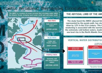 Weakening of the Atlantic Meridional Overturning Circulation Abyssal Limb in the North Atlantic