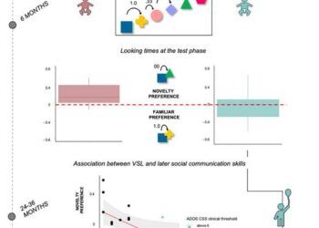 Visual statistical learning in preverbal infants at a higher likelihood of autism and its association with later social communication skills