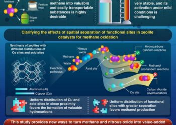 New Insights on Bifunctional Catalysts for Tandem Methane Conversion