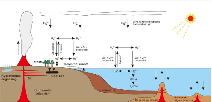 Schematic diagram illustrating global Hg cycle under enhanced volcanic emissions in atmosphere, oceans and land.