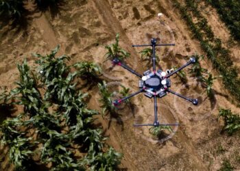 Drones in agriculture