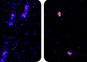 Raw data of DNA origami without any drift correction (left) and the drift-corrected image using AIM (right).