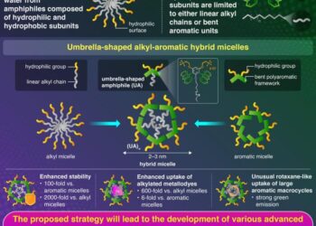 Alkyl-Aromatic Hybrid Micelles with Enhanced Performance