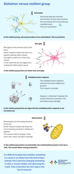 Infographic:"Alzheimer’s Disease Without Symptoms. How is That Possible?"