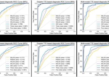 An auxiliary CHD diagnostic system based on multi-view and multi-modal