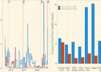 Gaza Food Crisis - Prices Fluctuation Graph