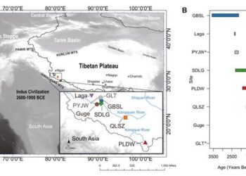 The spatial and temporal distribution of Ngari samples involved in the study