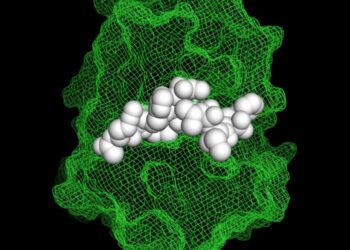 Non-natural peptide inhibitor in complex with cathepsin S.