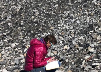 Birgenheier on waste pile