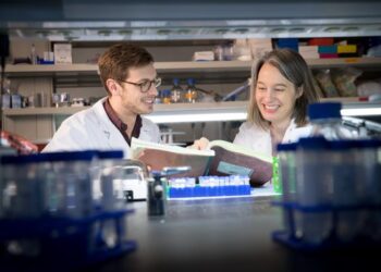 Cell-targeting technology allows researchers to isolate neuronal subpopulations and link