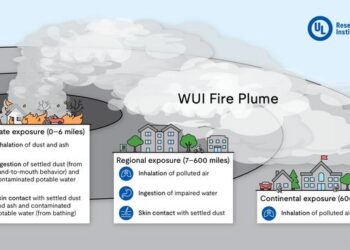 WUI Fire Plume