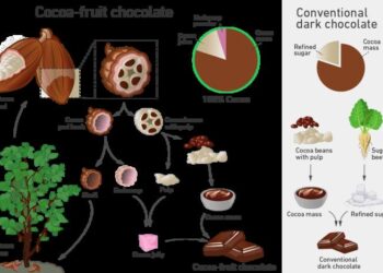 Utilisation of entire cocoa fruit