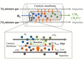 Schematic of the distributor-type membrane reactor for CO2 capture
