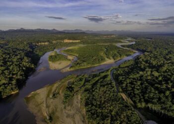 Conservation of Nature’s Strongholds needed to halt biodiversity loss