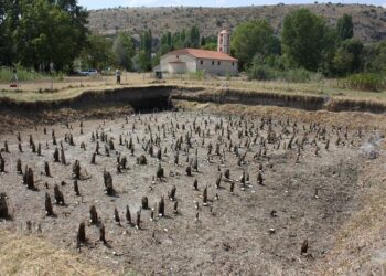 The pile field at the site of Dispilio