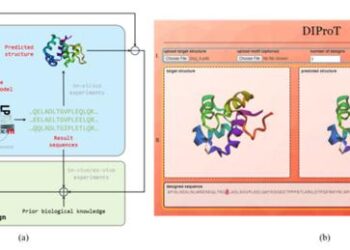 OVERVIEW OF HOW DIPROT WORKS