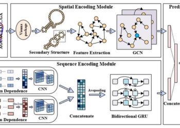Overview of DeepCRBP