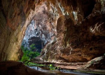 Drought in the Cerrado (Neotropical savanna) is the worst for at least seven centuries, study shows