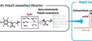 Preparation of Heterotelechelic Poly(2-oxazoline)- Library