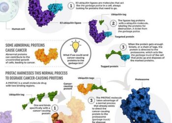 Infographic: PROTACs