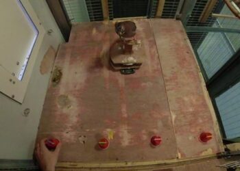 Eurasian jays (Garrulus glandarius) show episodic-like memory through the incidental encoding of information