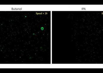 The real time movements of Butanol and Isopropyl alcohol (IPA) on a slide glass