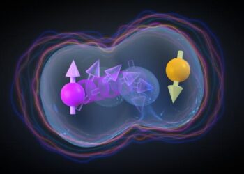 Two interacting hole spin qubits