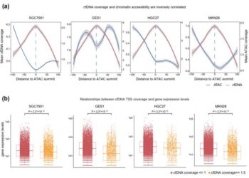 Exploring chromatin accessibility and its diagnostic potential in cancer through the utilization of cell-free DNA