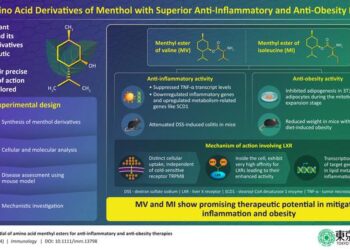 Novel amino acid derivatives of menthol