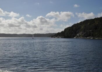 Swedish fjord Gullmarsfjorden