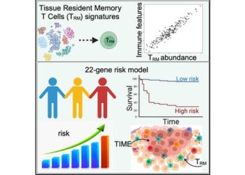 Tissue Resident Memory T Cell Signatures and 22-gene risk model.