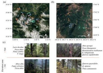 Location of the two study landscapes and the inventory plots and forest types investigated