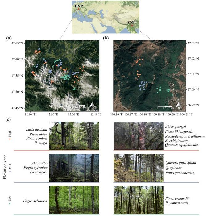 Location of the two study landscapes and the inventory plots and forest types investigated