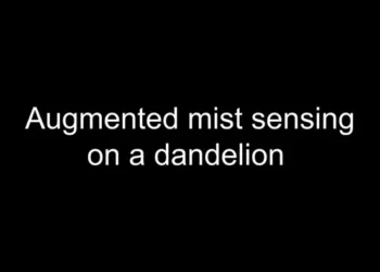 Imperceptible sensors made from ‘electronic spider silk’ can be printed directly on human skin