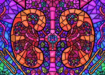 Kidney Mosaic