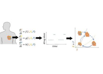 Mathematical Model Describing Patient-Specific Tumor Dynamics to Guide Treatment Dose Scheduling