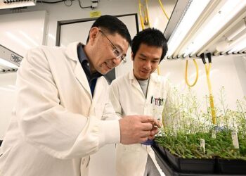 Brookhaven Lab biologists Chang-Jun Liu and Xianhai Zhao